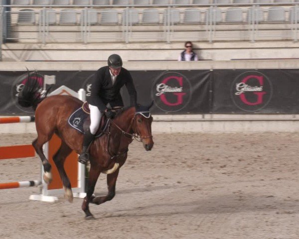 Reitturnier Aachen 2024