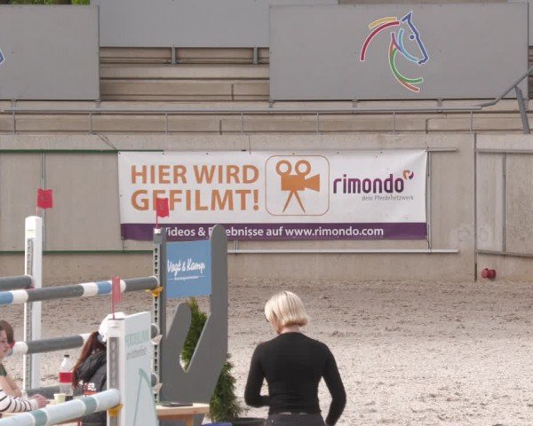 Reitturnier Aachen 2024