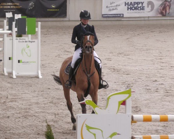 Reitturnier Aachen 2024