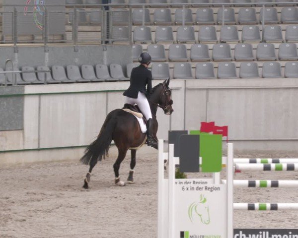 Reitturnier Aachen 2024