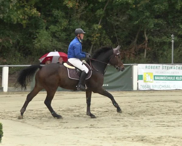 Reitturnier Forst 2021
