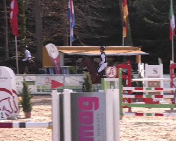Reitturnier Ranshofen - Braunau am Inn 2024