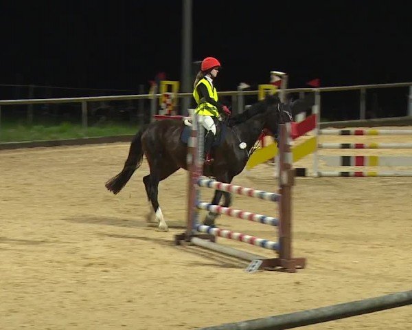 Reitturnier Altentrüdingen/Mfr. 2024