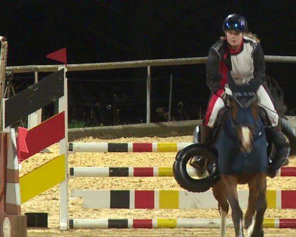 Reitturnier Altentrüdingen/Mfr. 2024