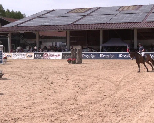 Reitturnier Ranshofen - Braunau am Inn 2024