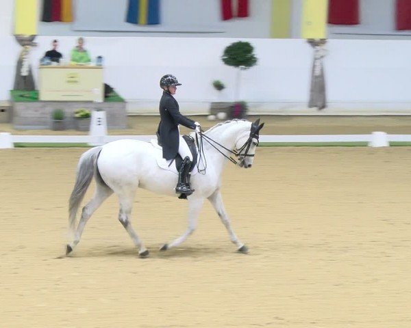 FEI Dressurturnier Stadl Paura 2024
