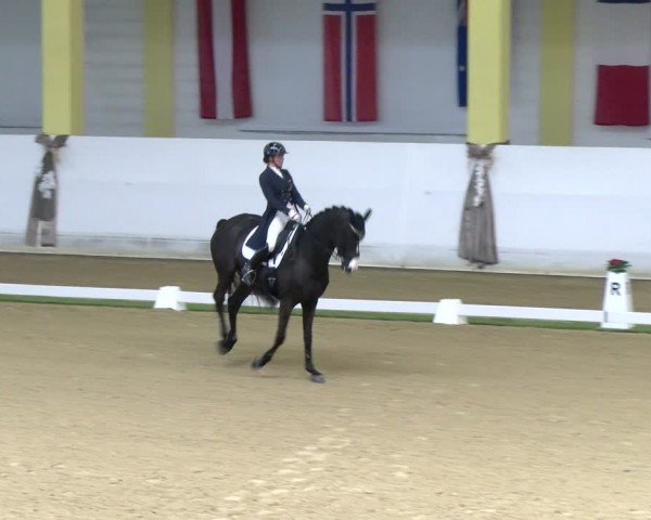 FEI Dressurturnier Stadl Paura 2024