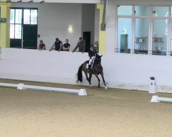 FEI Dressurturnier Stadl Paura 2024