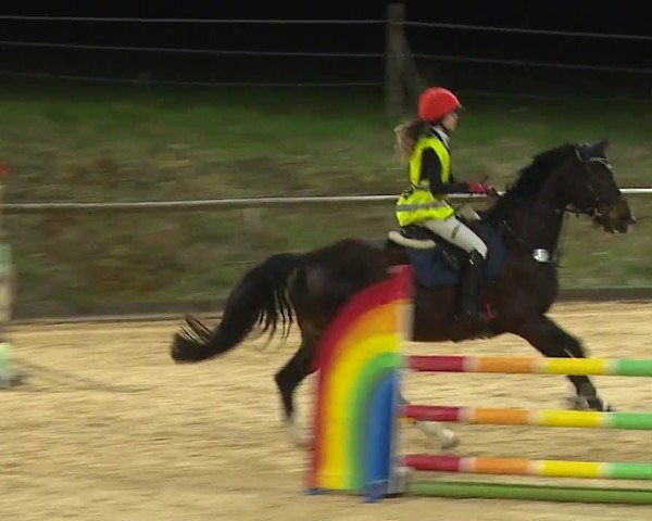 Reitturnier Altentrüdingen/Mfr. 2024