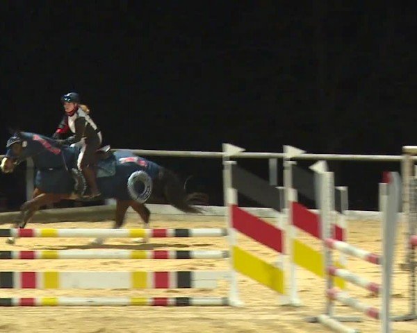 Reitturnier Altentrüdingen/Mfr. 2024