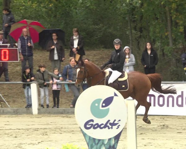 Reitturnier Forst 2021