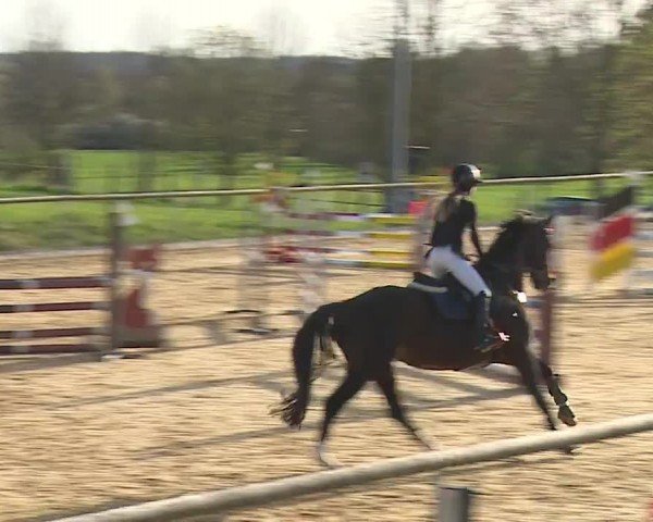 Reitturnier Altentrüdingen/Mfr. 2024