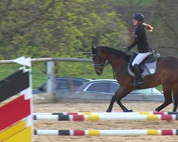 Reitturnier Altentrüdingen/Mfr. 2024