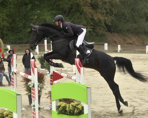 Reitturnier Forst 2021