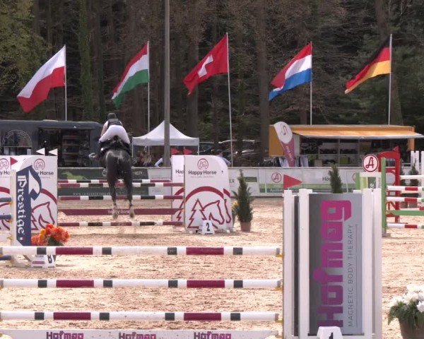 Reitturnier Ranshofen - Braunau am Inn 2024