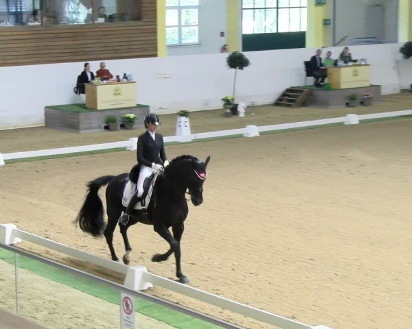 FEI Dressurturnier Stadl Paura 2024