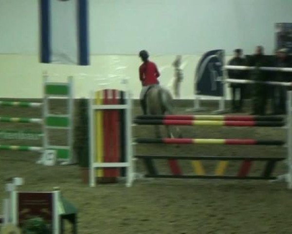 Legdener Ponymeeting 2011