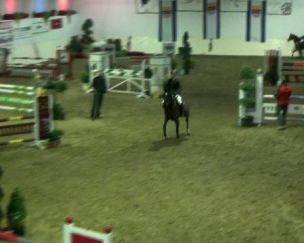 Legdener Ponymeeting 2011