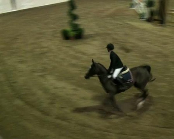 Legdener Ponymeeting 2011