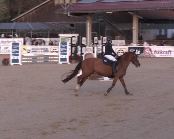 Reitturnier Ranshofen - Braunau am Inn 2024
