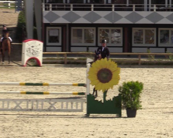 Reitturnier Balve-Wocklum 2024