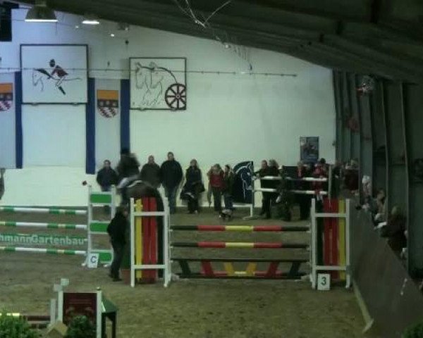 Legdener Ponymeeting 2011
