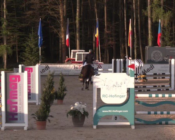 Reitturnier Ranshofen - Braunau am Inn 2024