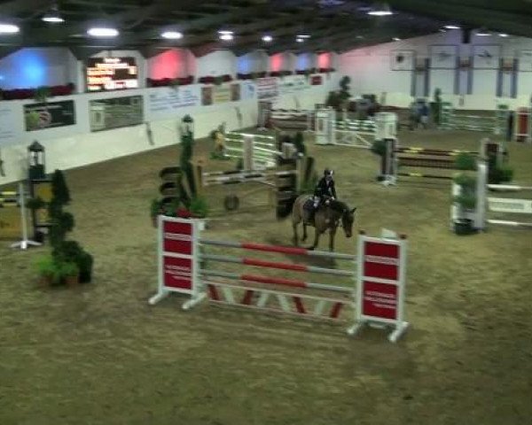 Legdener Ponymeeting 2011