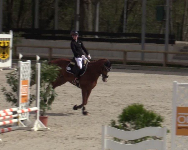 Reitturnier Balve-Wocklum 2024