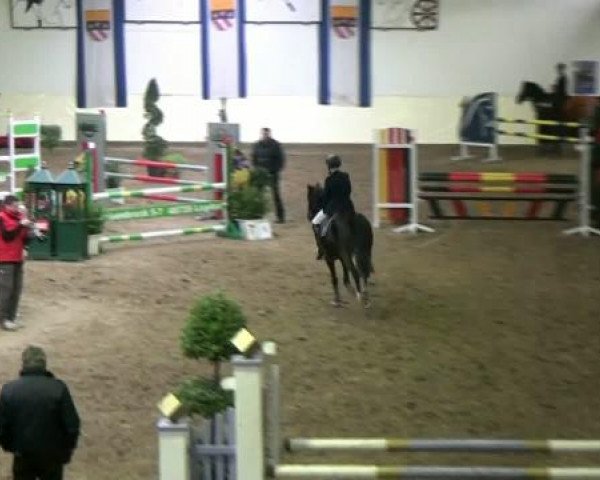 Legdener Ponymeeting 2011