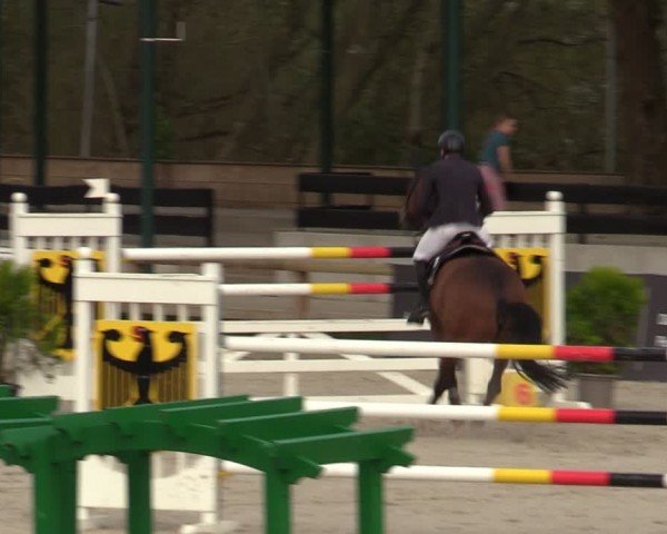 Reitturnier Balve-Wocklum 2024