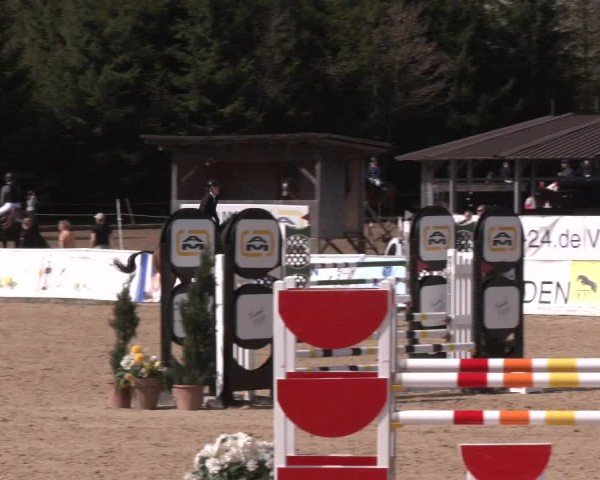 Reitturnier Ranshofen - Braunau am Inn 2024