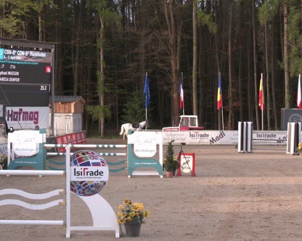 Reitturnier Ranshofen - Braunau am Inn 2024