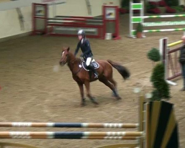Legdener Ponymeeting 2011