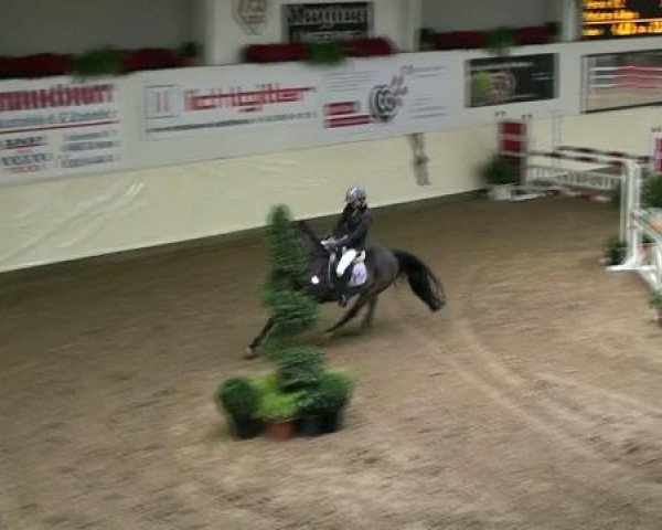 Legdener Ponymeeting 2011