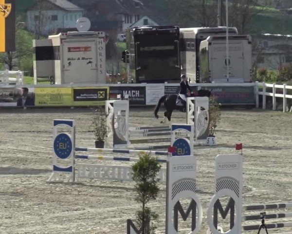 Reitturnier St. Margarethen 2024