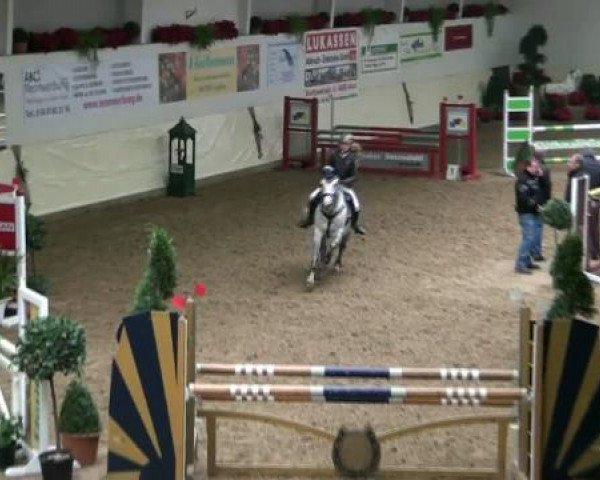 Legdener Ponymeeting 2011