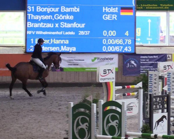 Reitturnier Niebüll - Jumping Team Nord 2024