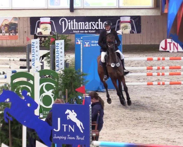 Reitturnier Niebüll - Jumping Team Nord 2024