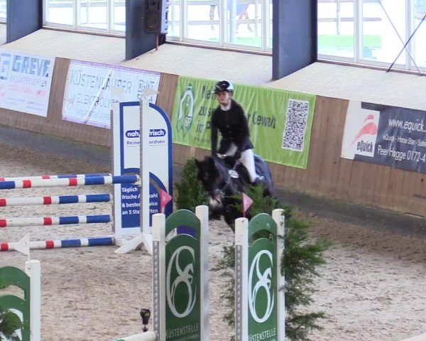 Reitturnier Niebüll - Jumping Team Nord 2024