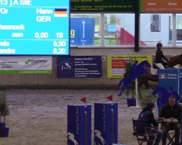 Reitturnier Niebüll - Jumping Team Nord 2024