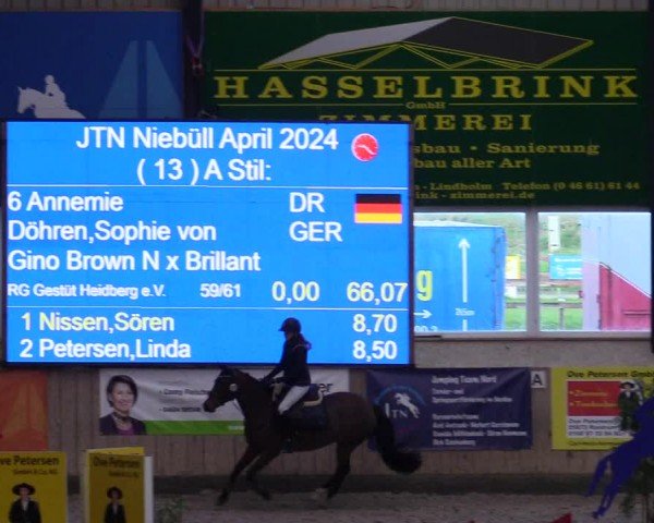 Reitturnier Niebüll - Jumping Team Nord 2024