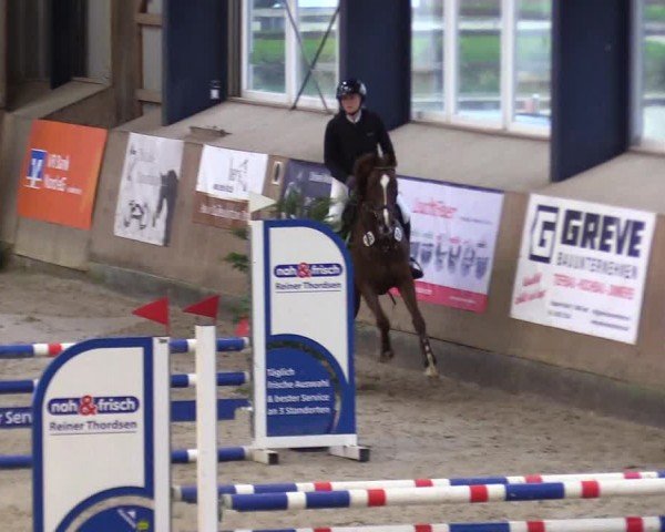 Reitturnier Niebüll - Jumping Team Nord 2024