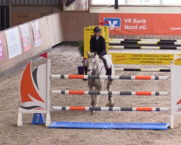 Reitturnier Niebüll - Jumping Team Nord 2024