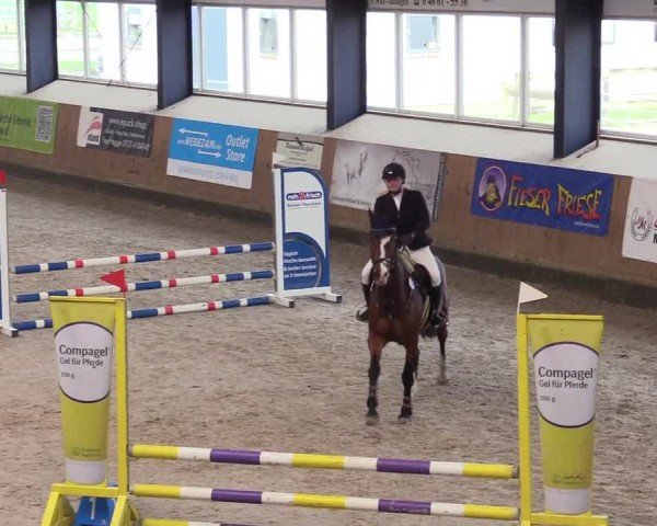 Reitturnier Niebüll - Jumping Team Nord 2024