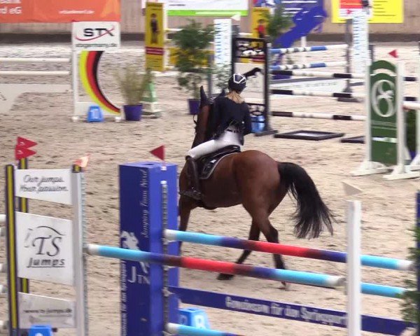 Reitturnier Niebüll - Jumping Team Nord 2024