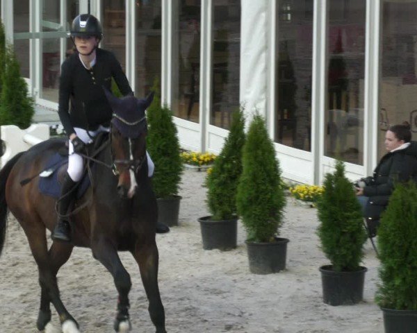 Reitturnier Aachen 2024