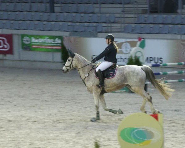 Reitturnier Aachen 2024