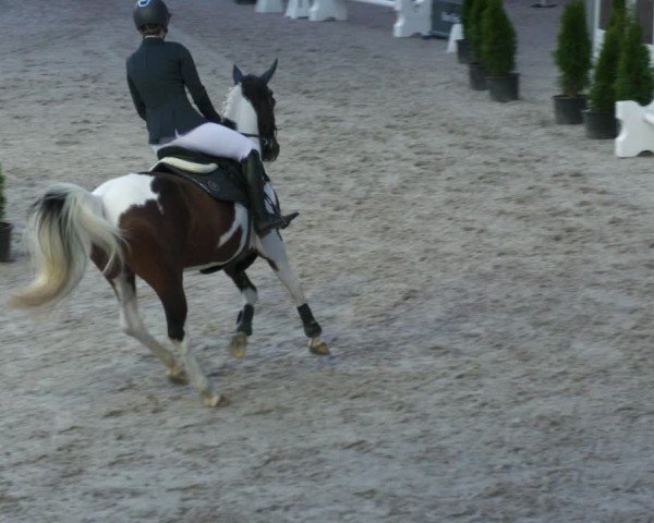 Reitturnier Aachen 2024