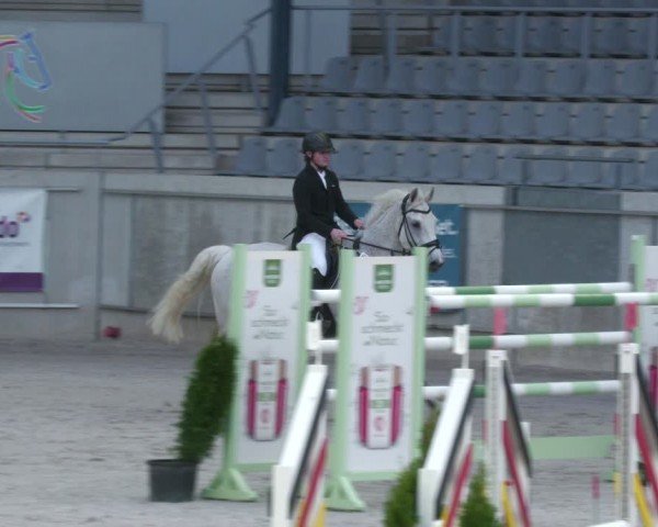 Reitturnier Aachen 2024